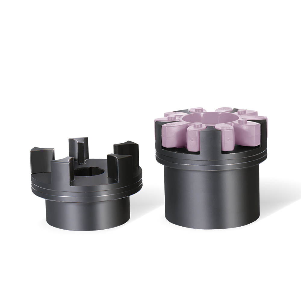 Dongxu Plum-Blossom Coupling