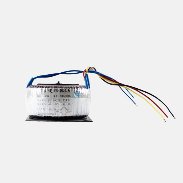 Ring-shaped transformer 400W (customizable model)