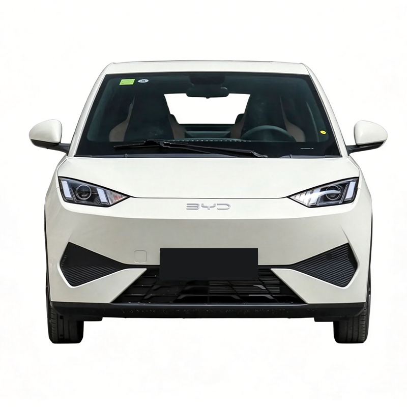 2025 BYD Seagull (Ocean Series) – Only 4,000 km Driven | Electric Mini Hatchback | Ultra Affordable EV