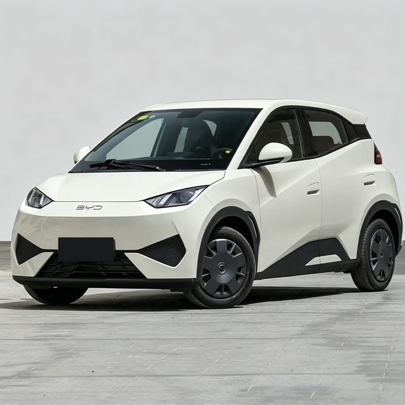 2025 BYD Seagull (Ocean Series) – Only 4,000 km Driven | Electric Mini Hatchback | Ultra Affordable EV
