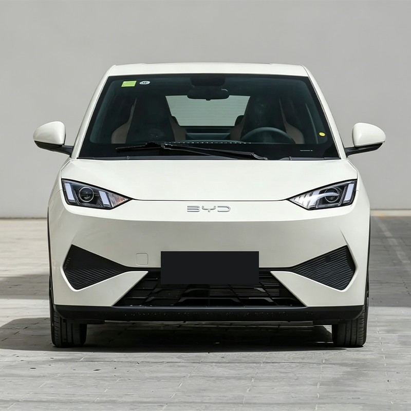 2025 BYD Seagull (Ocean Series) – Only 4,000 km Driven | Electric Mini Hatchback | Ultra Affordable EV