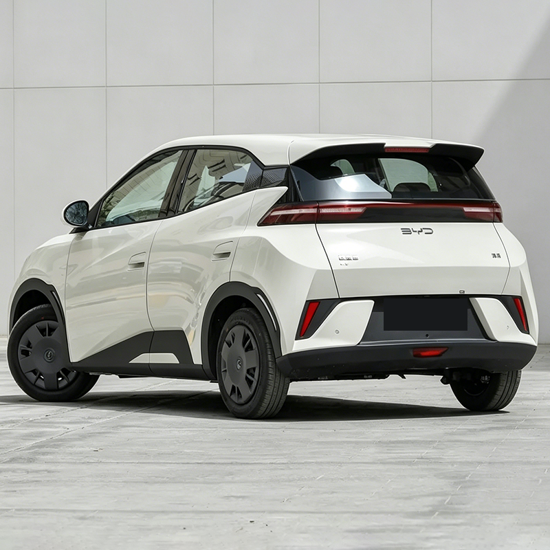 2025 BYD Seagull (Ocean Series) – Only 4,000 km Driven | Electric Mini Hatchback | Ultra Affordable EV