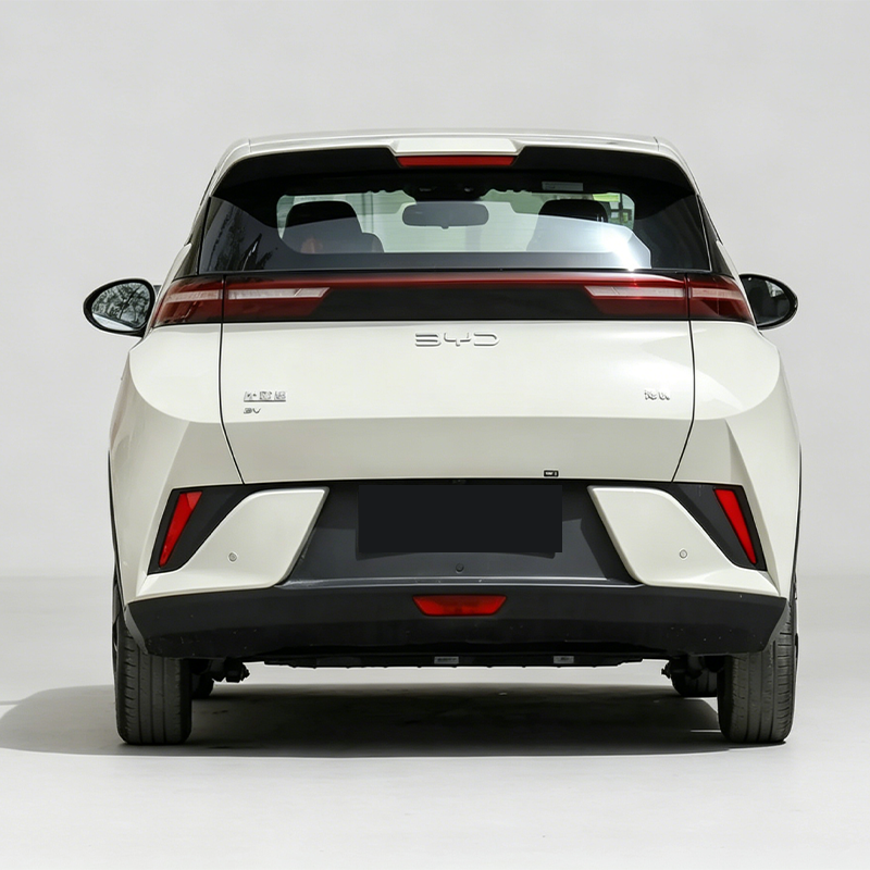 2025 BYD Seagull (Ocean Series) – Only 4,000 km Driven | Electric Mini Hatchback | Ultra Affordable EV