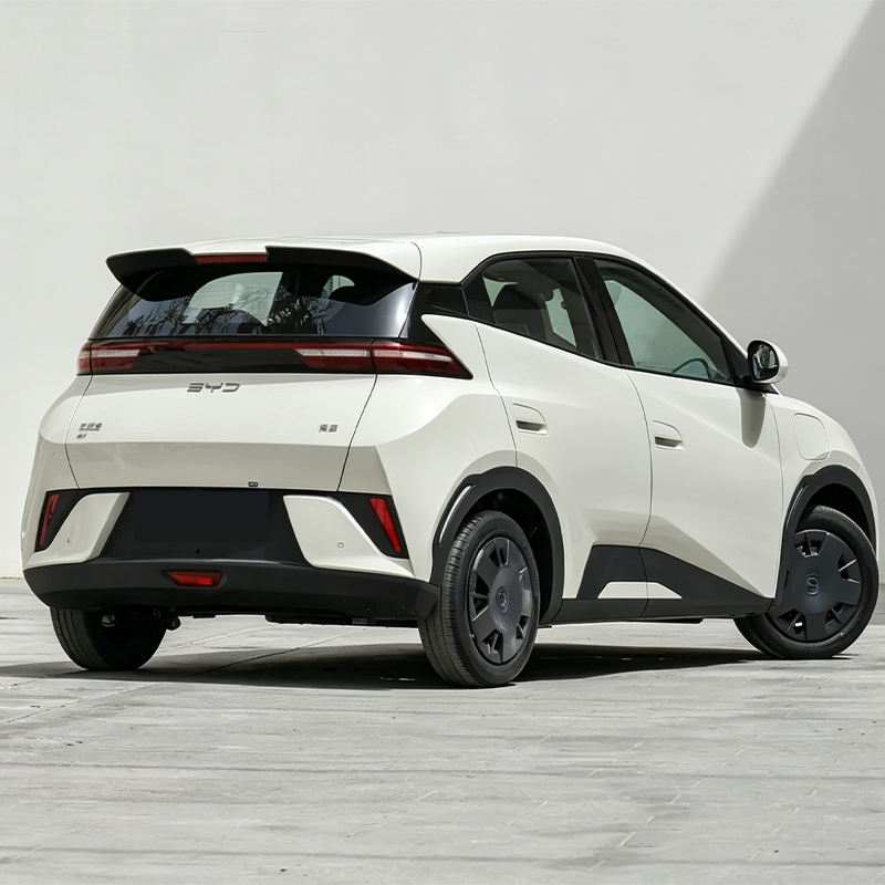 2025 BYD Seagull (Ocean Series) – Only 4,000 km Driven | Electric Mini Hatchback | Ultra Affordable EV
