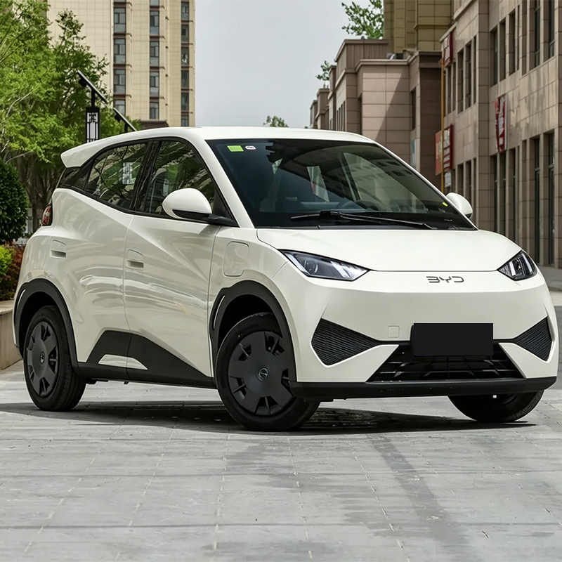 2025 BYD Seagull (Ocean Series) – Only 4,000 km Driven | Electric Mini Hatchback | Ultra Affordable EV