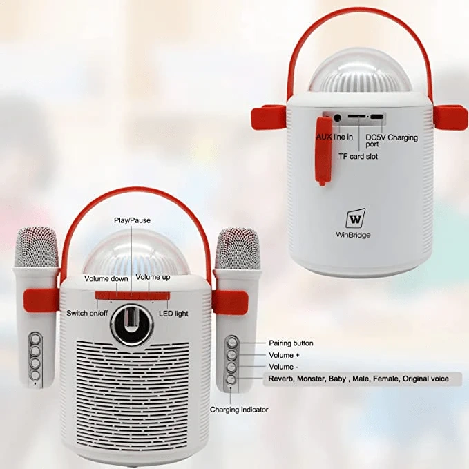 T7 Portable Karaoke Speaker with Dual Bluetooth Microphones – LED Party System | WinBridge