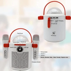 T7 Portable Karaoke Speaker with Dual Bluetooth Microphones – LED Party System | WinBridge