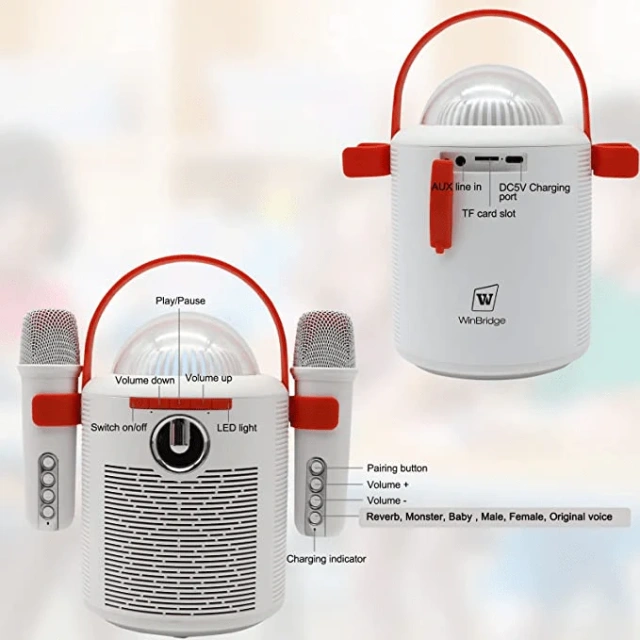 T7 Portable Karaoke Speaker with Dual Bluetooth Microphones – LED Party System | WinBridge