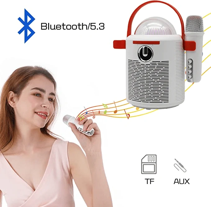 T7 Portable Karaoke Speaker with Dual Bluetooth Microphones – LED Party System | WinBridge