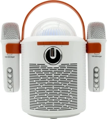 T7 Portable Karaoke Speaker with Dual Bluetooth Microphones – LED Party System | WinBridge