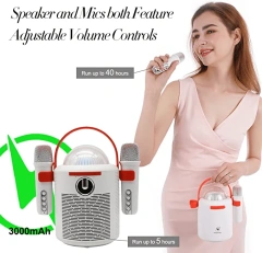 T7 Portable Karaoke Speaker with Dual Bluetooth Microphones – LED Party System | WinBridge