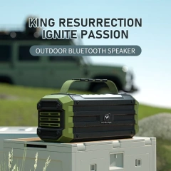 K30 60W Portable Bluetooth Speaker with UHF Wireless Microphone – IPX4 Outdoor Party System | WinBridge