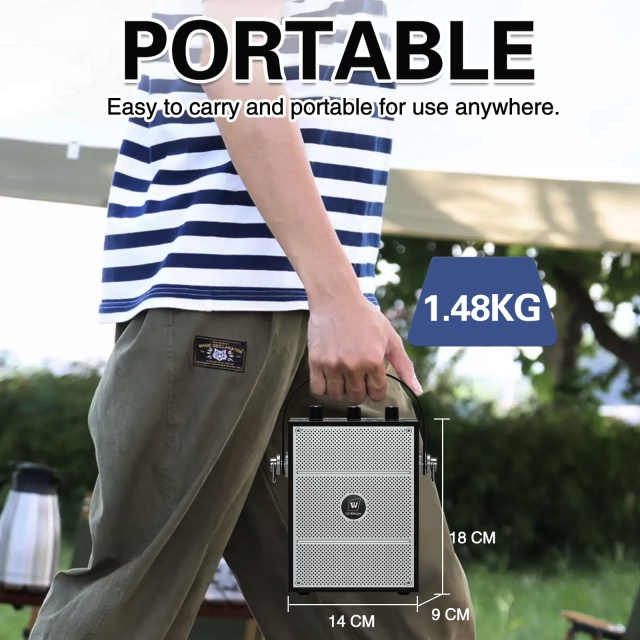 S98 40W UHF Wireless Voice Amplifier – Bluetooth 5.3 Professional PA System | WinBridge