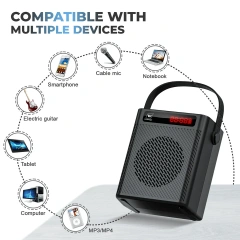 S95 40W Bluetooth 5.3 Voice Amplifier with Dual Wireless Microphones | WinBridge