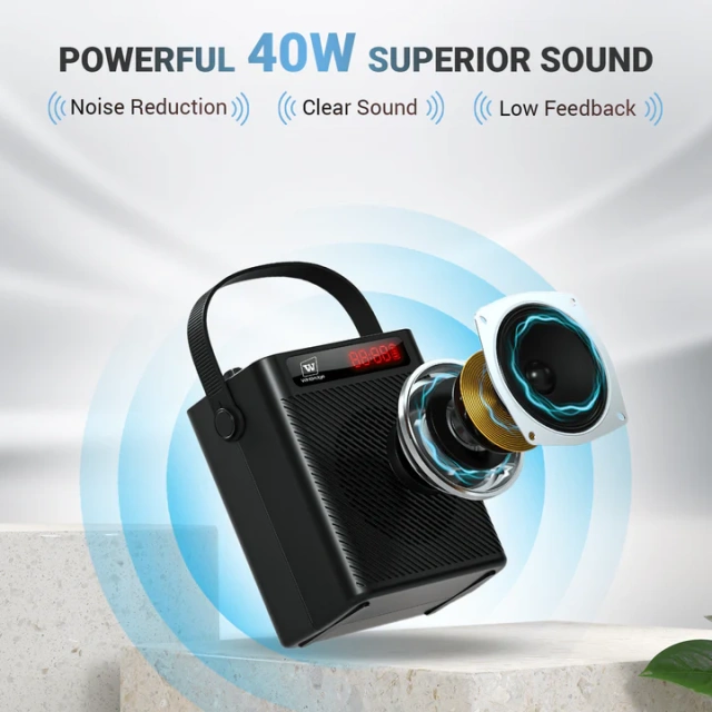 S95 40W Bluetooth 5.3 Voice Amplifier with Dual Wireless Microphones | WinBridge