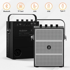 S97 60W Portable PA System with Dual Wireless Microphones | WinBridge