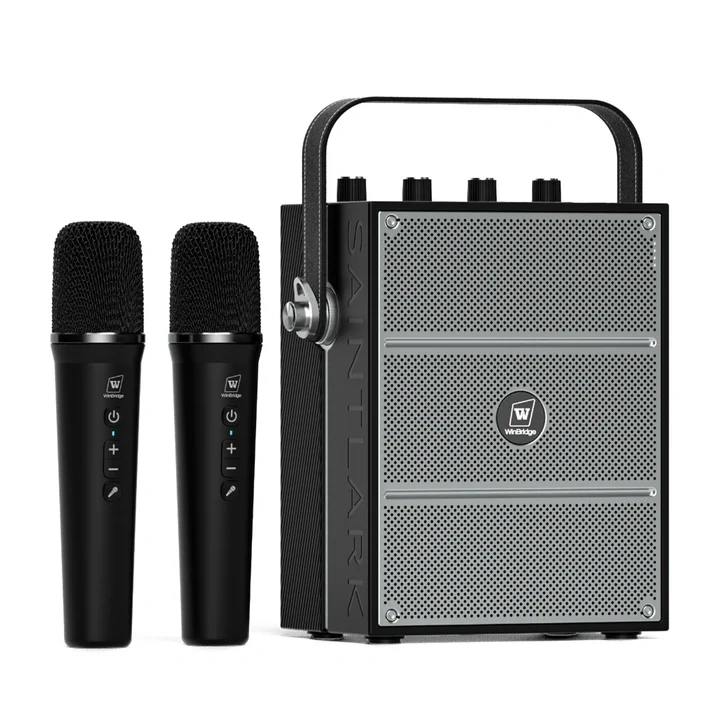S99 100W Portable PA System with Dual Wireless Handheld Microphones | WinBridge