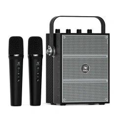 S99 100W Portable PA System with Dual Wireless Handheld Microphones | WinBridge