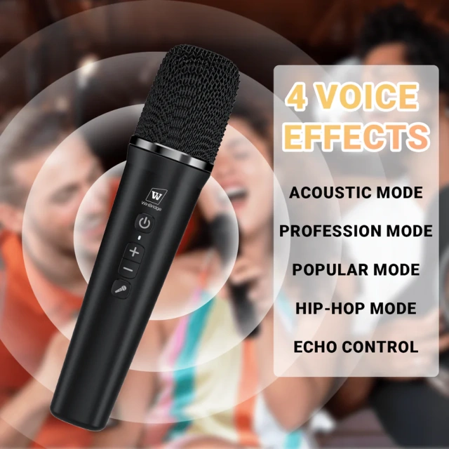 S97 60W Portable PA System with Dual Wireless Microphones | WinBridge