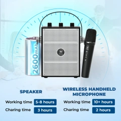 S98 Pro 50W Wireless PA System with Dual Microphones | WinBridge
