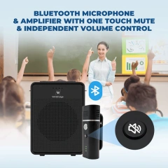 WinBridge B006 Voice Amplifier