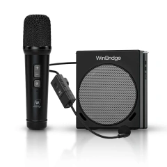 S91 30W Dual Mic Portable PA System – Wireless Voice Amplifier & Karaoke Speaker | WinBridge