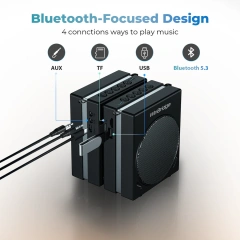 S91 30W Dual Mic Portable PA System – Wireless Voice Amplifier & Karaoke Speaker | WinBridge