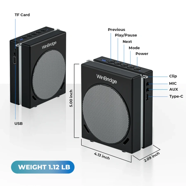 S90 30W Dual Mic Portable PA System – Wireless Voice Amplifier & Bluetooth Speaker | WinBridge