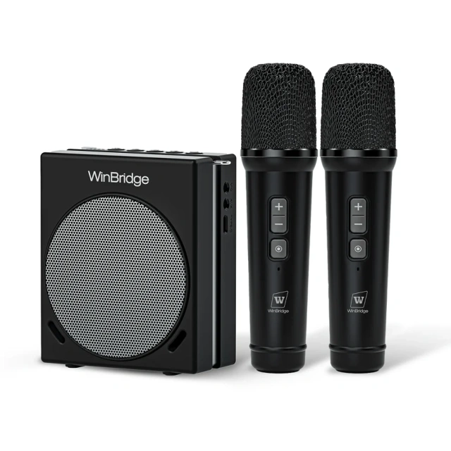 S90 30W Dual Mic Portable PA System – Wireless Voice Amplifier & Bluetooth Speaker | WinBridge