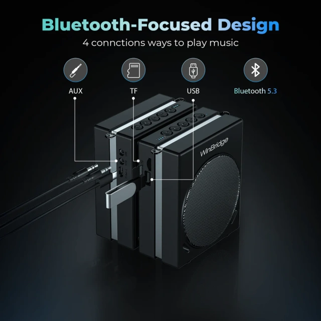 S90 30W Dual Mic Portable PA System – Wireless Voice Amplifier & Bluetooth Speaker | WinBridge