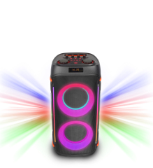 WB-611L 60W Portable Bluetooth Karaoke Speaker with RGB Lights and Dual Speakers for Parties Home and Events | WinBridge