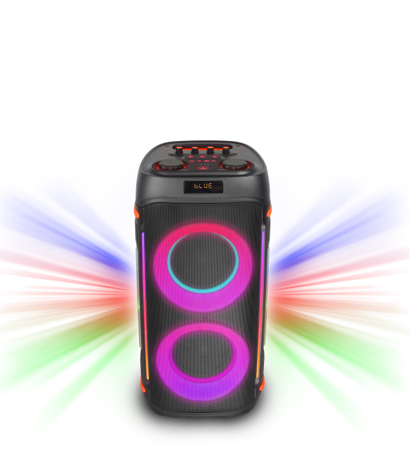 WB-611L 60W Portable Bluetooth Karaoke Speaker with RGB Lights and Dual Speakers for Parties Home and Events | WinBridge