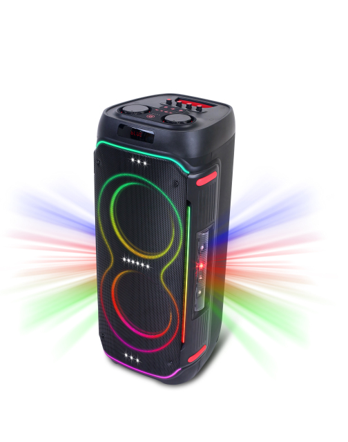 WB-611L 60W Portable Bluetooth Karaoke Speaker with RGB Lights and Dual Speakers for Parties Home and Events | WinBridge
