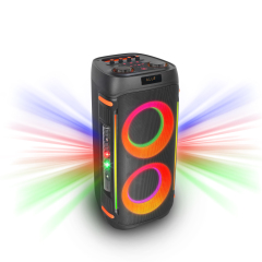 WB-611L 60W Portable Bluetooth Karaoke Speaker with RGB Lights and Dual Speakers for Parties Home and Events | WinBridge