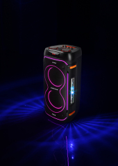 WB-812 120W Portable Bluetooth Karaoke Speaker with RGB Lights and Dual Speakers for Parties Home and Events | WinBridge