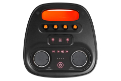 WB-611L 60W Portable Bluetooth Karaoke Speaker with RGB Lights and Dual Speakers for Parties Home and Events | WinBridge