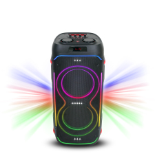 WB-1015 120W Large Bluetooth Karaoke Speaker with RGB Lights and Dual Speakers for Parties Home and Events | WinBridge