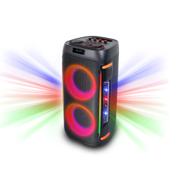 WB-611L 60W Portable Bluetooth Karaoke Speaker with RGB Lights and Dual Speakers for Parties Home and Events | WinBridge