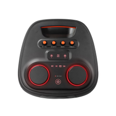 WB-812 120W Portable Bluetooth Karaoke Speaker with RGB Lights and Dual Speakers for Parties Home and Events | WinBridge