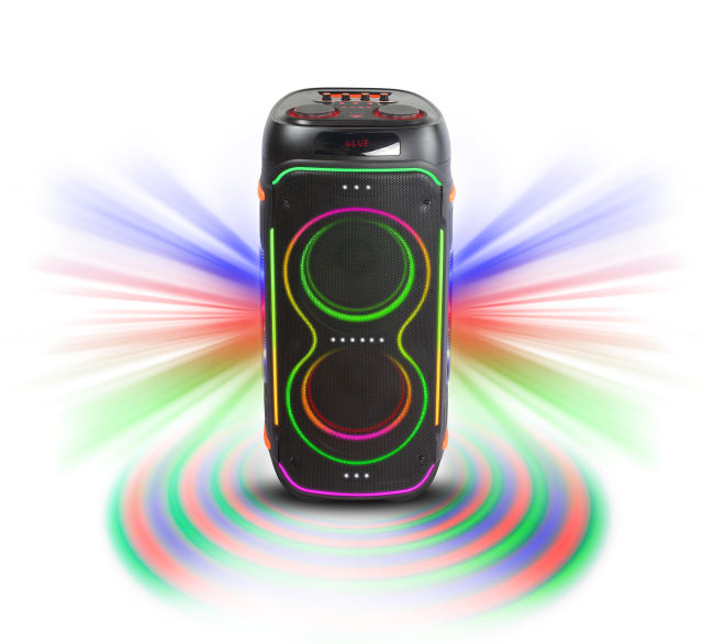 WB-812 120W Portable Bluetooth Karaoke Speaker with RGB Lights and Dual Speakers for Parties Home and Events | WinBridge
