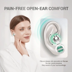 LUX02 Bee Design Bluetooth 6.0 Wireless Earbuds for Women with Semi In Ear Comfort for Daily Use Travel and Gifts | WinBridge