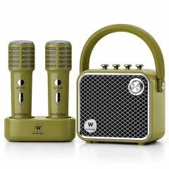 L20 VoiceBeat™ 20W Mini Karaoke Machine with 2 Wireless Microphones and Bluetooth Speaker | WinBridge