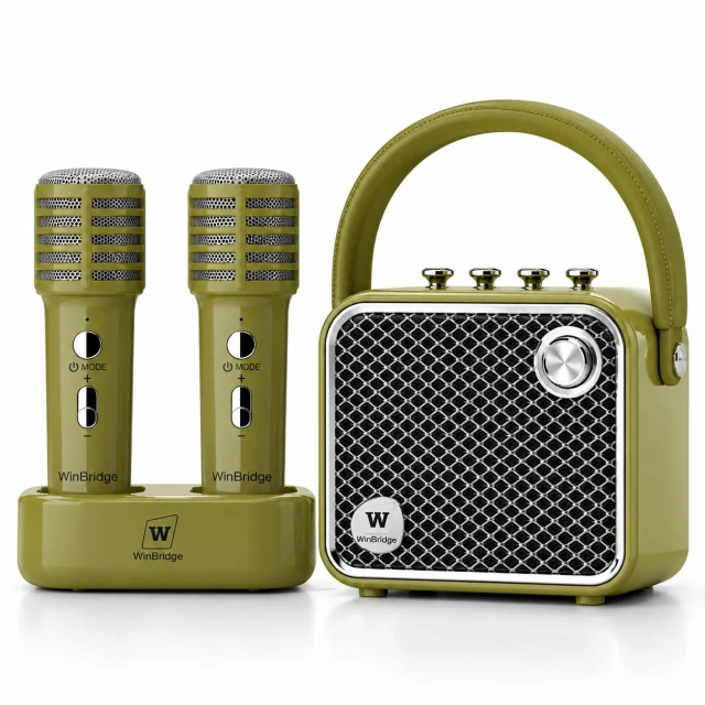 L20 VoiceBeat™ 20W Mini Karaoke Machine with 2 Wireless Microphones and Bluetooth Speaker | WinBridge