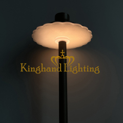 Path Light