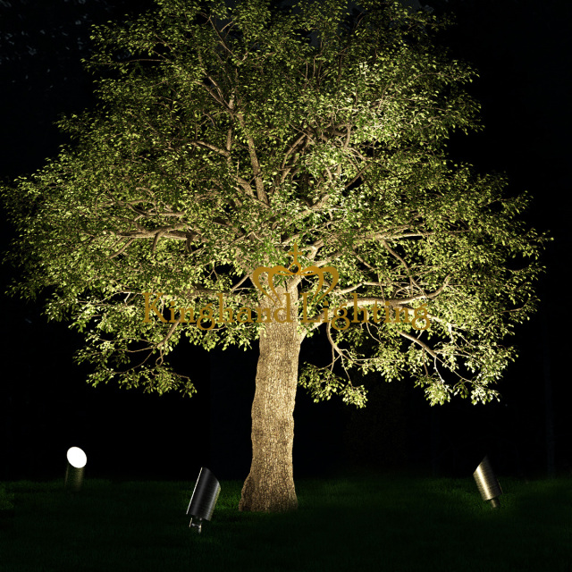Spotlight