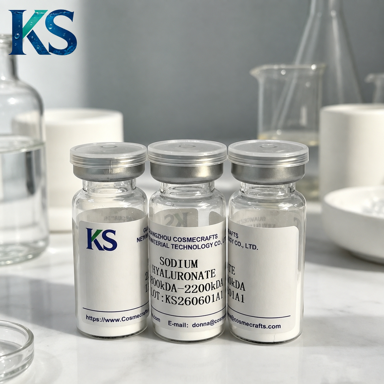High Molecular Weight Sodium Hyaluronate,cosmecrafts,High Molecular Weight Sodium Hyaluronate