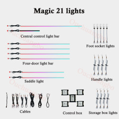Magic 21 lights