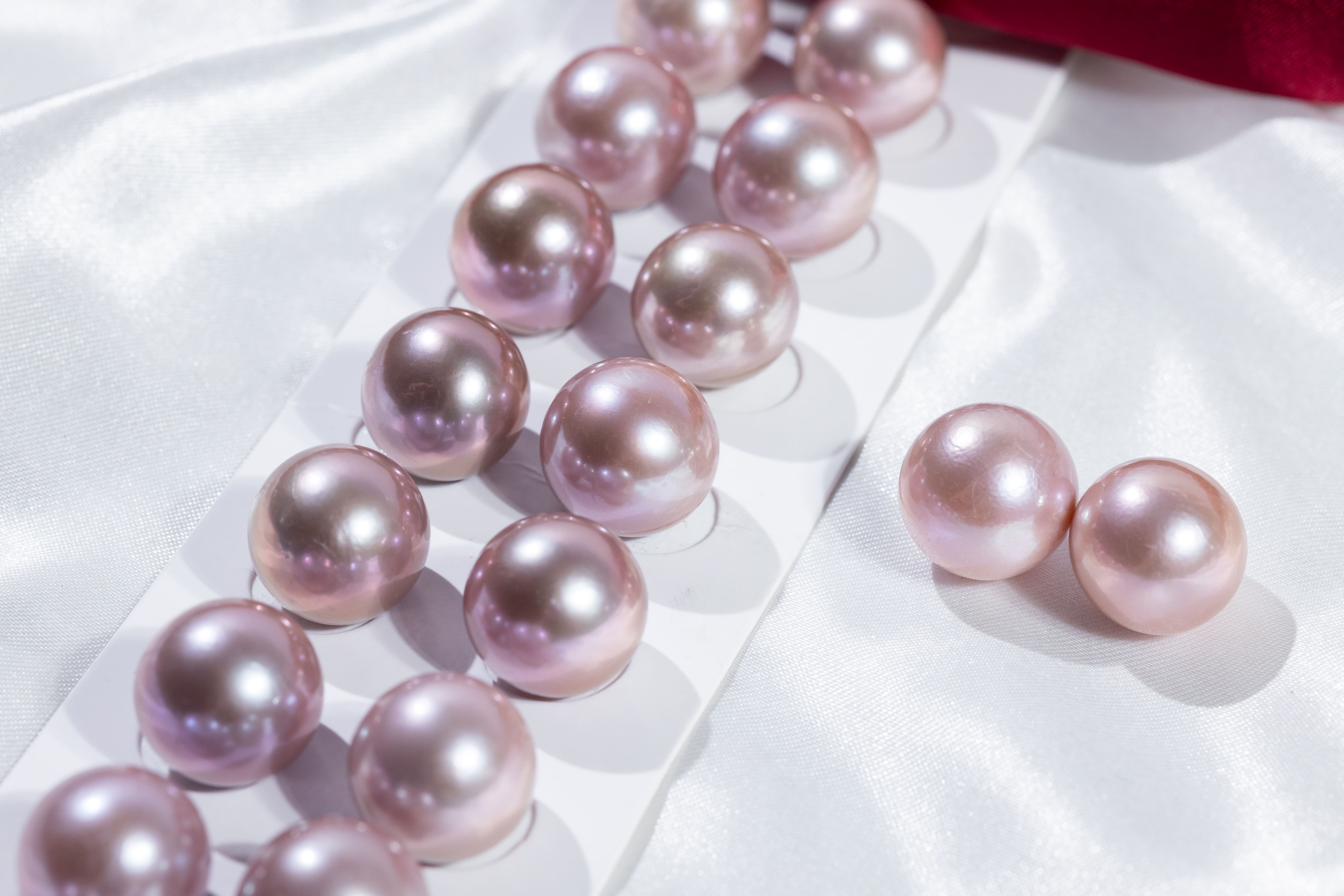 Pearls Ear ring 15~16mm