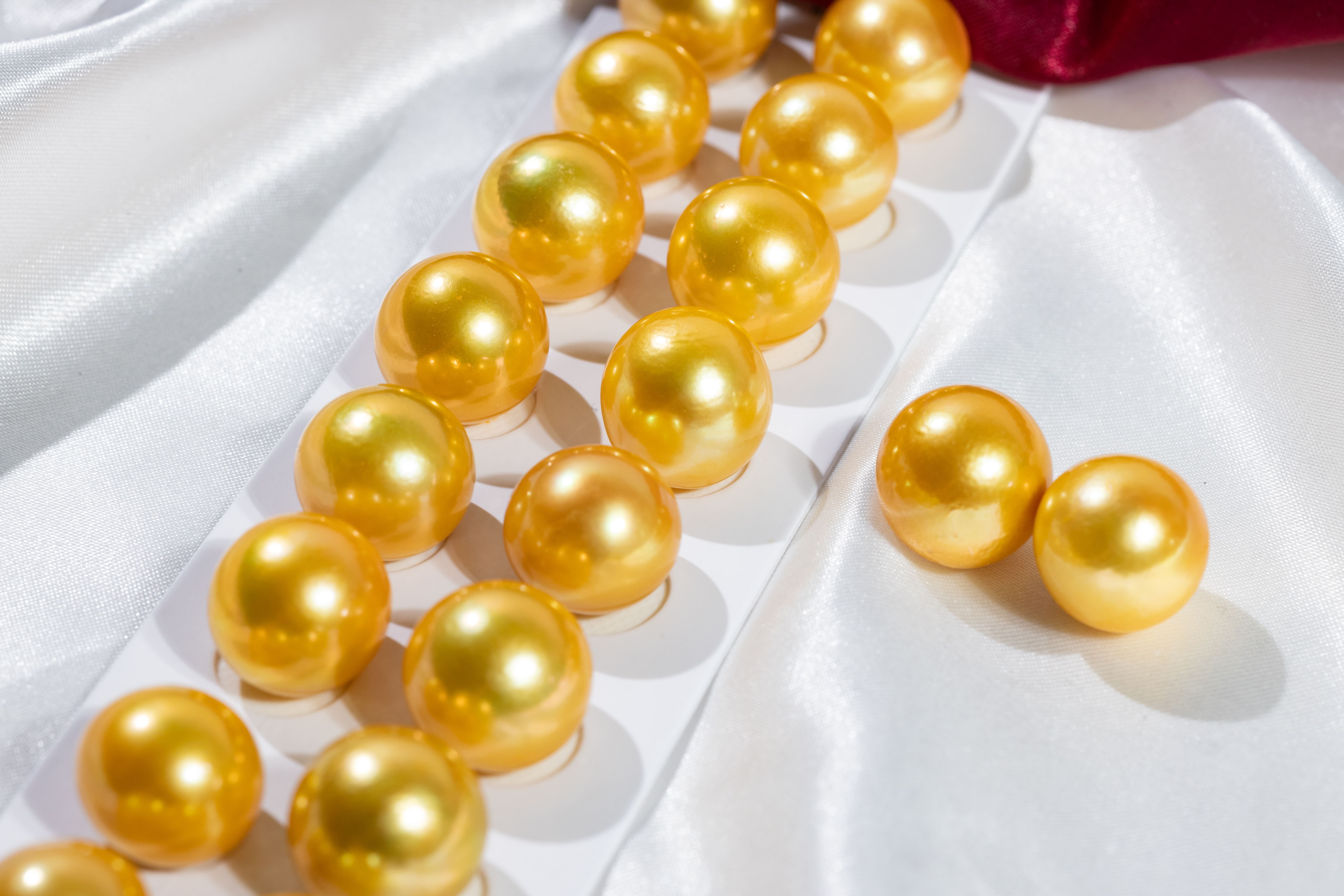 Pearls Ear ring 16～17mm