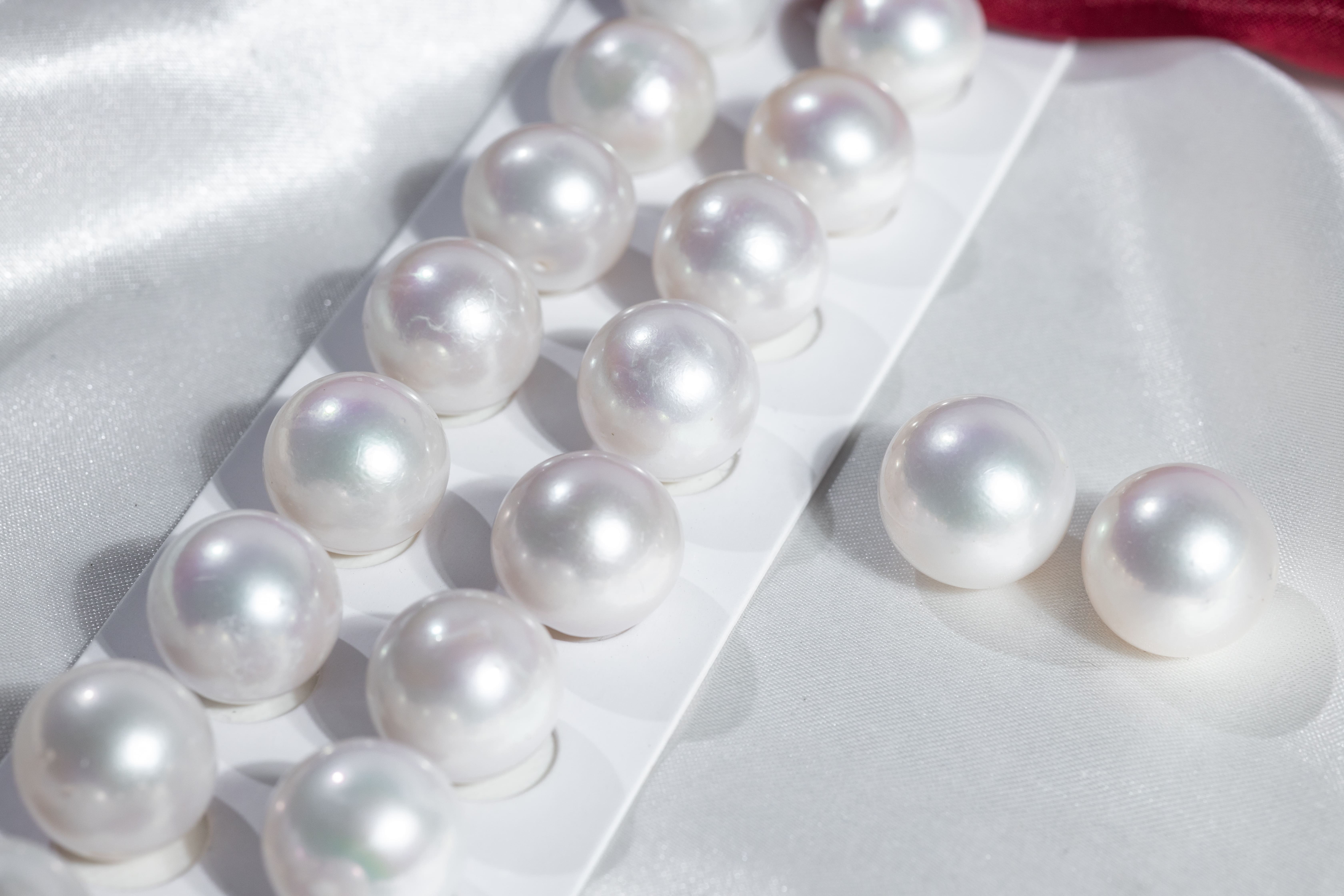 Pearls Ear ring 16～17mm
